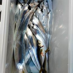 大阪ー和歌山　友ヶ島で船釣りしませんか？ - メンバー募集