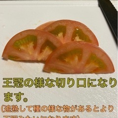 王様トマト　1.2キロ　【約200gのトマトが6個】※250gくらいのトマトも有るので1.2キロ超える場合があります。の画像