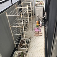 棚3つ　貰って下さい。の画像