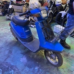 ペリカンjog