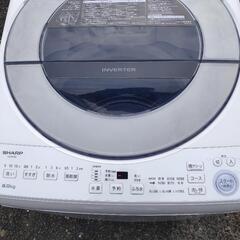 【新春特価！大容量8kg】SHARP 全自動電気洗濯機 2020年製 