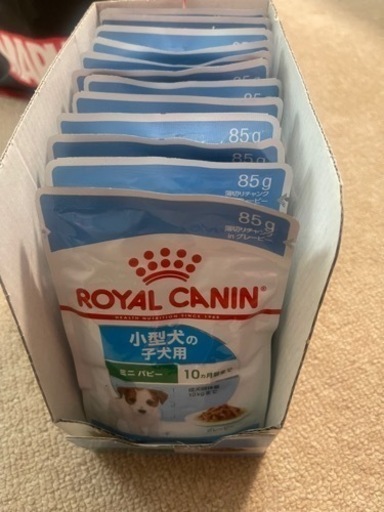 子犬用ご飯、犬用総合栄養食！まとめて2000
