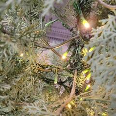 1215-155 【無料】クリスマスツリーの画像