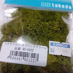 苔少し　　ジオラマモス　スプリンググリーン