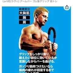 La VIE アームバー 30kgの画像