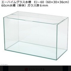 水槽　60cm