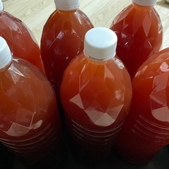 PSB(光合成細菌)メダカの育成に！(価格改定)の画像