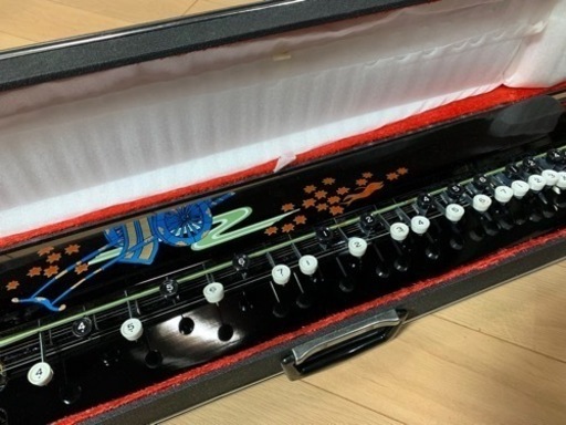 [新品 未使用 きれい]貴重な絵柄　ケース付き　大正琴