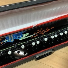 [新品 未使用 きれい]貴重な絵柄　ケース付き　大正琴