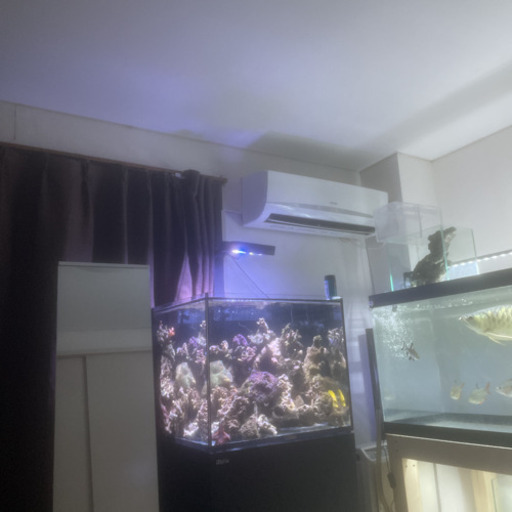 red sea リーファー170セット