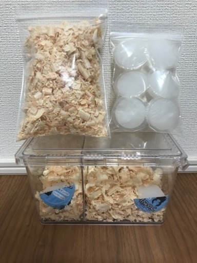 ヘラクレスヘラクレス♂♀No.1【完売御礼】