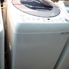 ディシラサンプル詰め合わせ