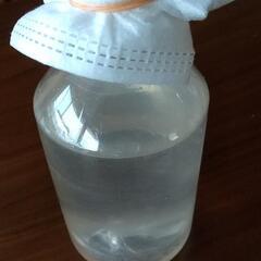 新鮮 ゾウリムシ メダカのエサにぴったり 1ボトルの画像