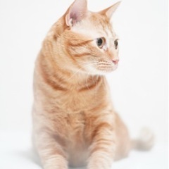 一緒に写真撮って思い出作りしませんか〜！！！ - 友達