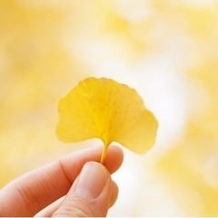 一緒に写真撮って思い出作りしませんか〜！！！
