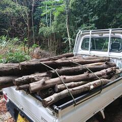 ⑤軽トラ一杯 キロ当たり１６円‼️格安‼️　丸太　輪切り　薪　薪ストーブ用　キャンプの画像