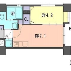 ペット可（犬・猫）🐶😺　西鉄平尾駅徒歩4分、薬院駅徒歩11分　即...