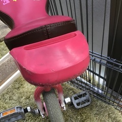 ブリヂストン　１２インチ一輪車の一輪車の画像