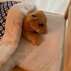 猫用ベッド　お布団付き　の画像