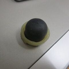 芝刈り機のプライマー