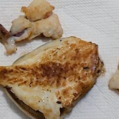 youtubeメンバー募集 釣り − 東京都