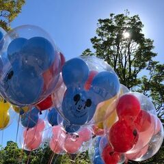 【医療従事者限定】ディズニーサークルメンバー募集！！ - メンバー募集