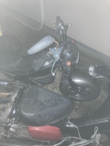 ストリートマジック50ほぼ確定しました