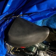 4ストバーディの画像