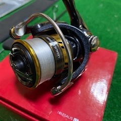 アジングセット　決定致しましたの画像