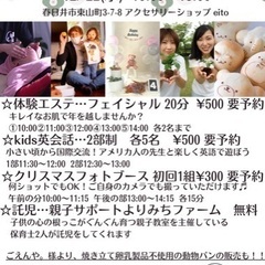 幼稚園児以下向け　kids英会話の画像