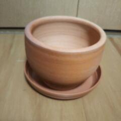 植木鉢 テラコッタ