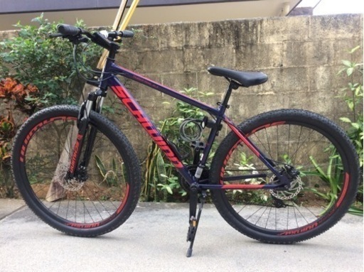 マウンテンバイク 29er MTB