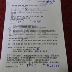 正絹　袋帯　六通　幅31.5　長さ431強の画像