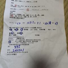 正絹　小紋　袷　裄64　身丈168.5の画像