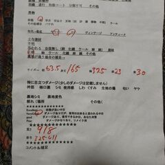 正絹　小紋　袷　裄63.5　身丈165の画像