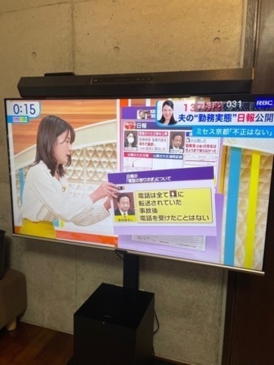 50V GREE HOUSE TV スピーカー（SONY）