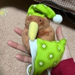 ゆるいキーウィぬいぐるみの画像
