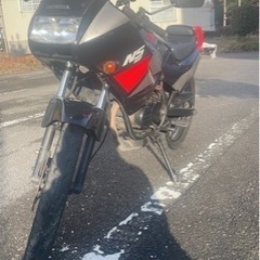 NS50F 50cc 商談中