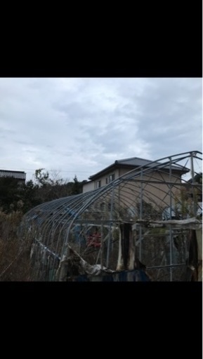 ビニールハウス