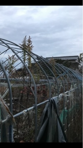 ビニールハウス