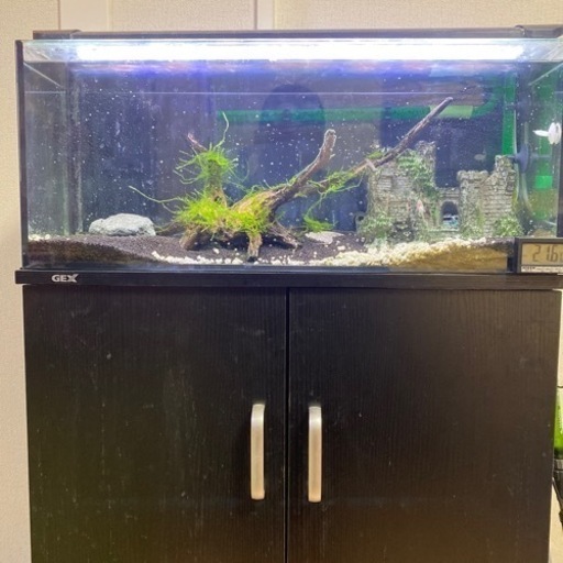 熱帯魚水槽一式　水槽台＋エーハイムなど全て