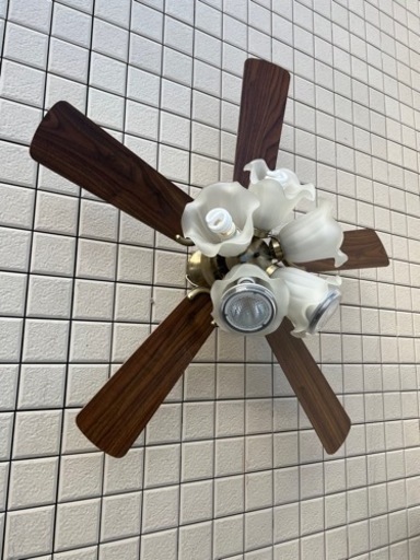 ファン付き天井照明器具