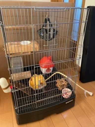 【受け渡し決定済】小動物ケージ一式　飼育セット