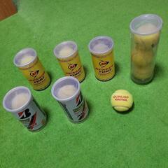 テニスラケット２本+テニスボール１４個の画像