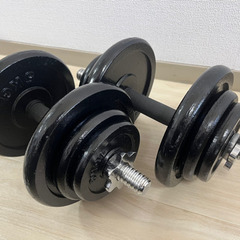 【取引中】鉄製ダンベル20キロセット（20キロ×2）