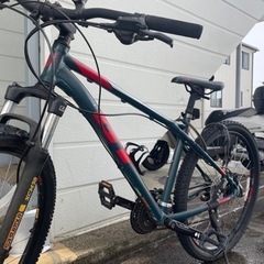 GT マウンテンバイク MTBの画像