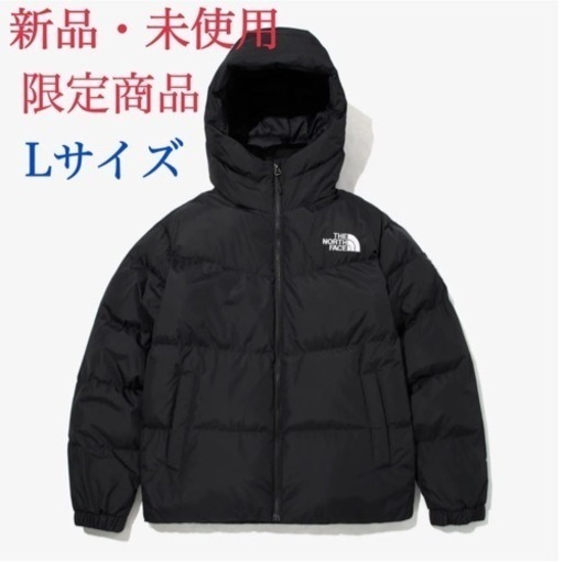 【韓国限定】ノースフェイス ダウンASPEN AIR EX JACKET L
