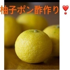 美味しい柚子ポン酢作りませんか❓