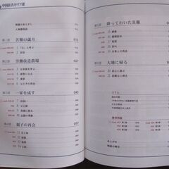 大地の子　中国語名セリフ選 　別冊聴く中国語　CD付きの画像