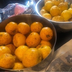 🍊無添加柚子ポン酢🍊作りたい方❣️